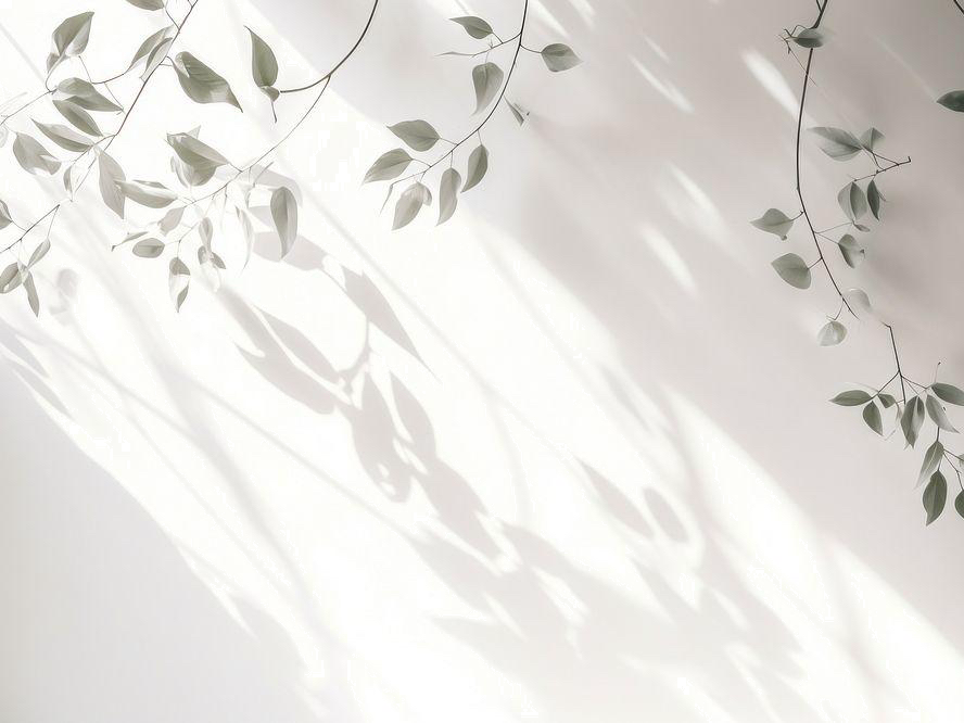 Eyelash English背景画像